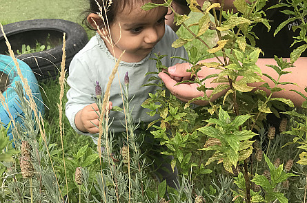 ....... and the herbs in our garden together